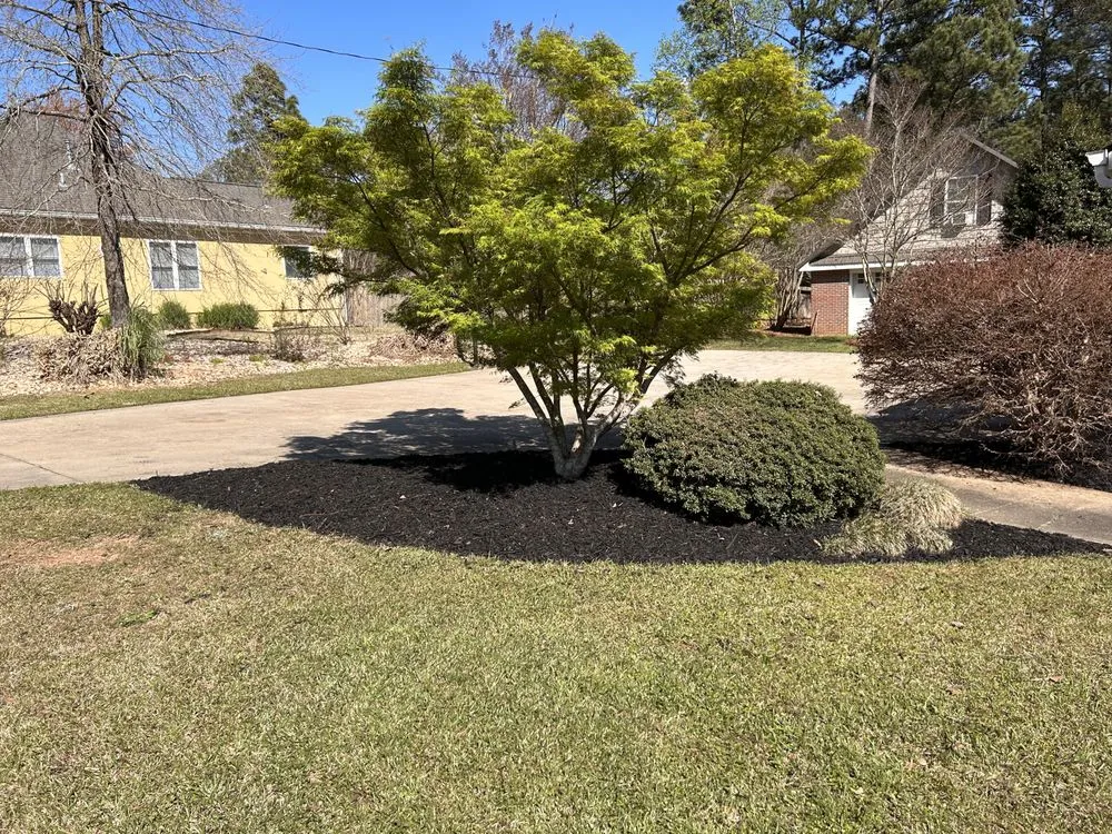 Trusted lawn care service for residential properties across Winston, GA - Maintain Southern Landscapes