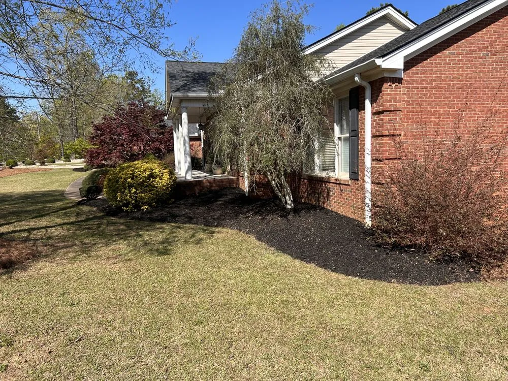 Professional yard cleanup service for year-round maintenance across Winston, GA - Maintain Southern Landscapes