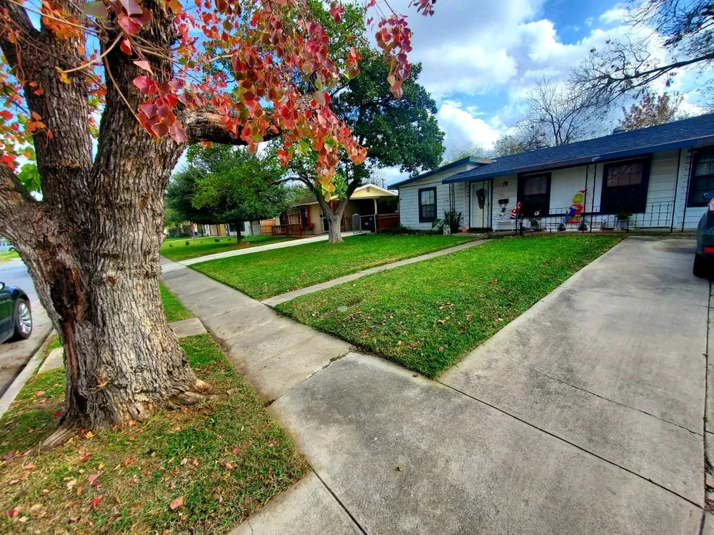 Local garden landscaping experts serving San Antonio, TX - Maintained Mowz