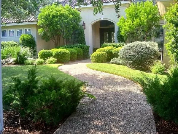 Affordable landscaping services in San Antonio, TX by Maintained Mowz