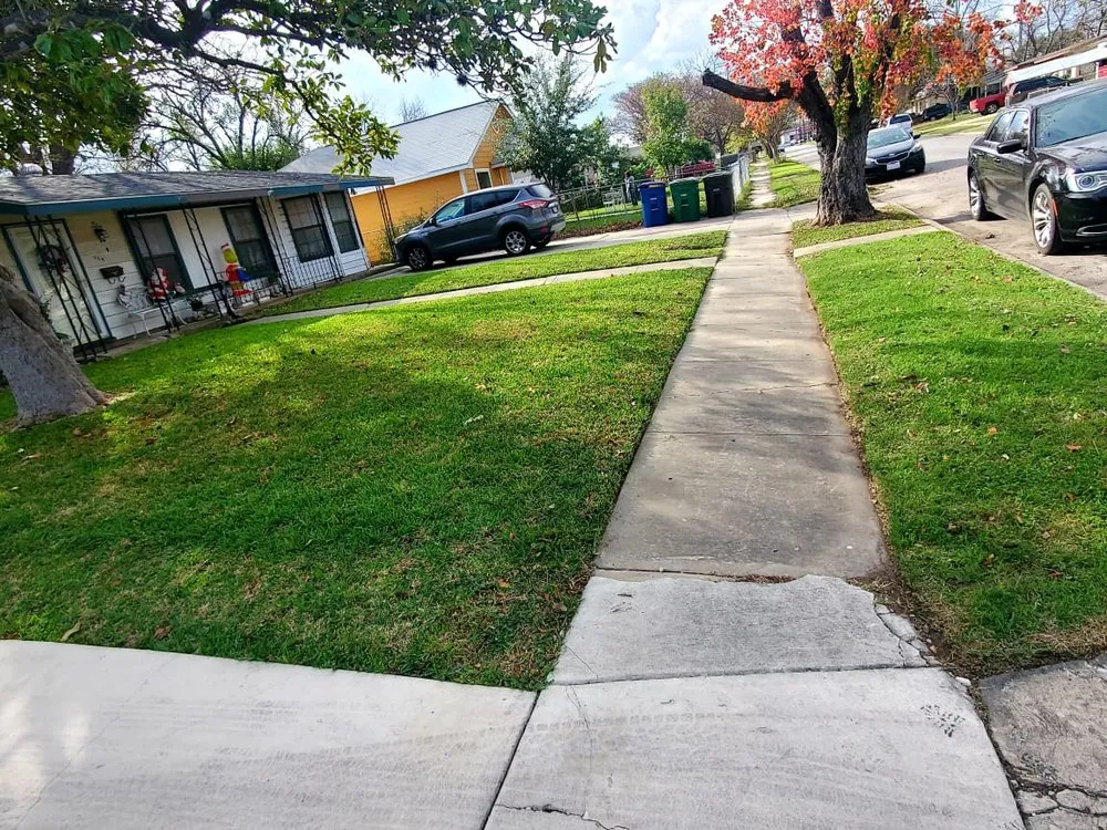 Local landscape installation with custom design across San Antonio, TX - Maintained Mowz