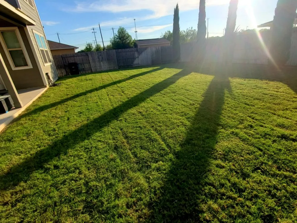 Local landscape installation experts serving San Antonio, TX - Maintained Mowz