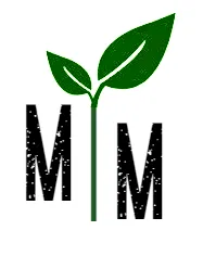 Professional landscape design for homes across San Antonio, TX - Maintained Mowz