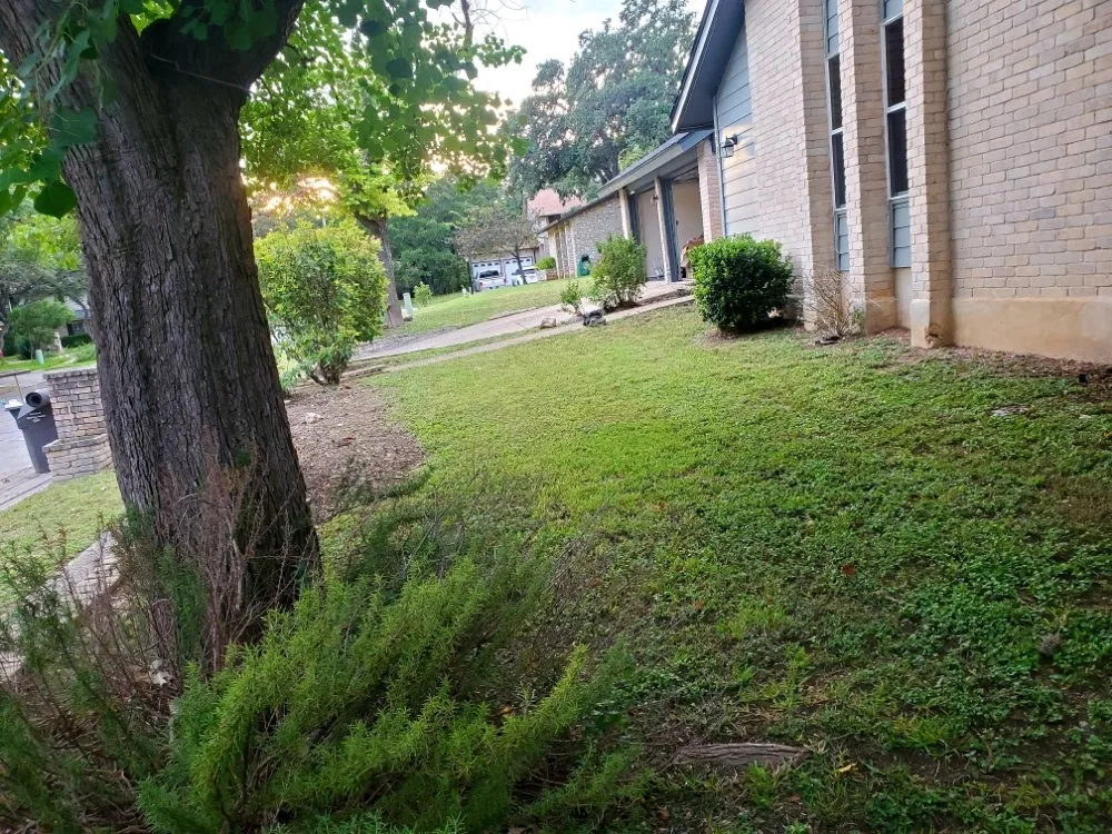 Affordable outdoor landscaping for homes across San Antonio, TX - Maintained Mowz
