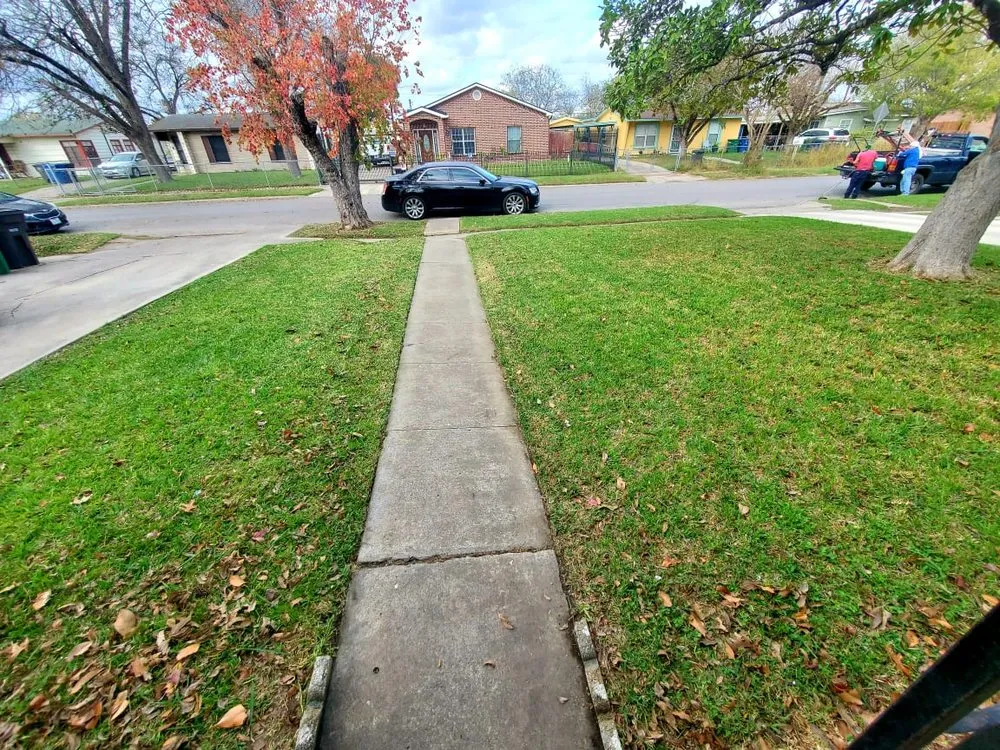 Reliable residential landscaping in San Antonio, TX by Maintained Mowz