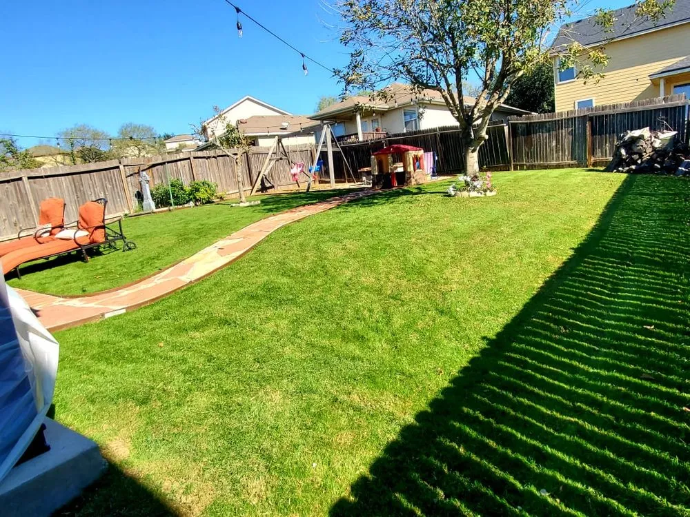 Local outdoor landscaping in San Antonio, TX - Maintained Mowz