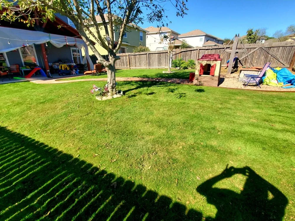 Custom residential landscaping in San Antonio, TX - Maintained Mowz