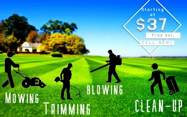 Maintained Mowz Logo