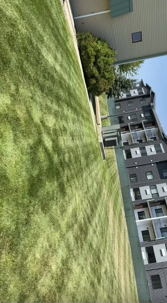 Professional yard maintenance in Great Falls, MT by Maintenance By The Yard