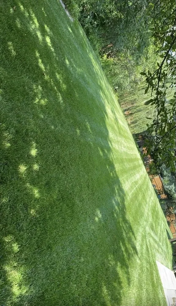 Professional landscape installation for residential properties in Great Falls, MT by Maintenance By The Yard