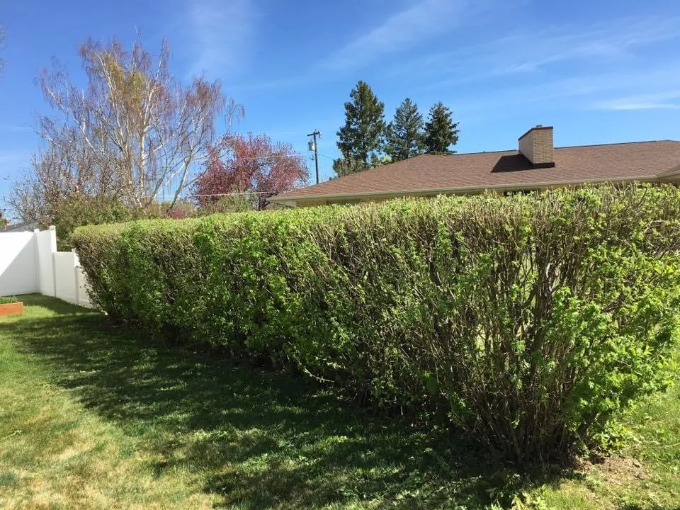 Trusted residential landscaping for year-round maintenance across Great Falls, MT - Maintenance By The Yard