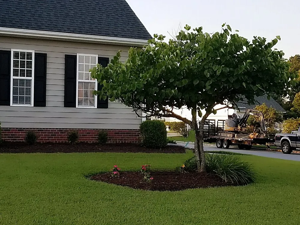 Expert landscaping services in Greenville, NC - Maintenance Contracting of Greenville
