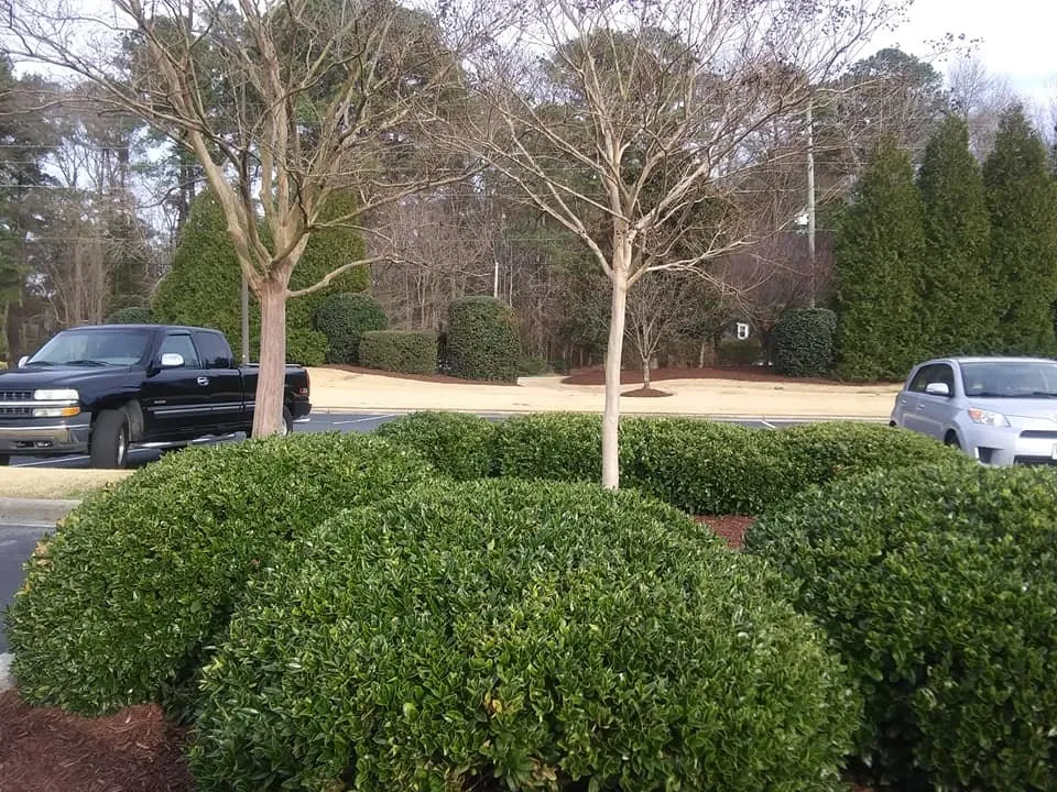 Reliable yard cleanup service near you across Greenville, NC - Maintenance Contracting of Greenville