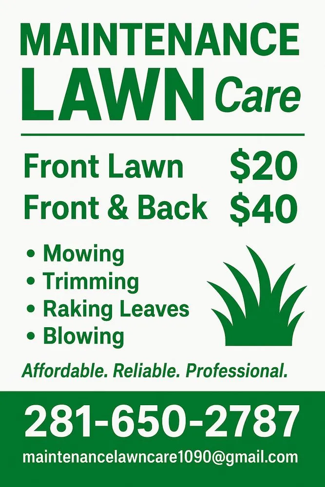 Local yard cleanup service in Fresno, TX - Maintenance Lawn Care