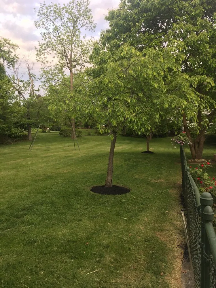 Local residential landscaping experts serving Rockville, MD - Maintenance Lawn Services