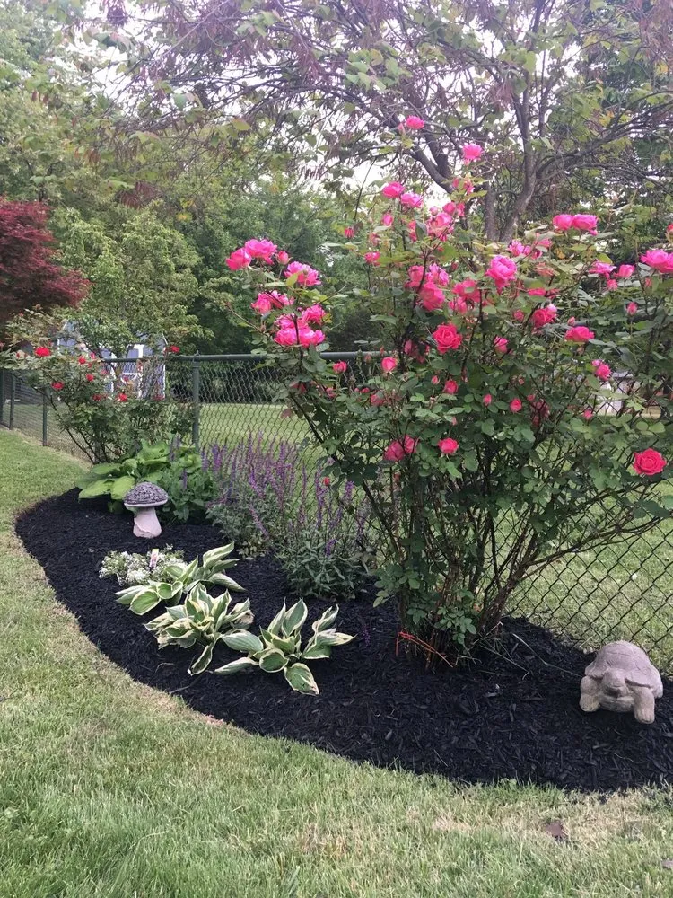 Expert lawn care service near you across Rockville, MD - Maintenance Lawn Services