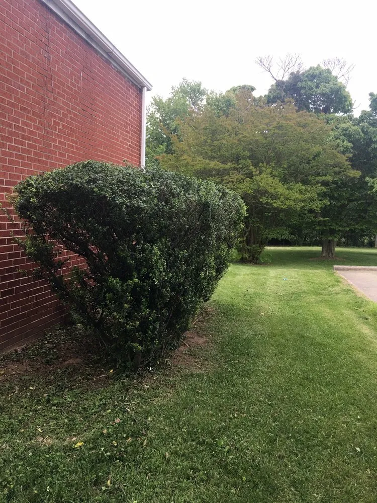 Affordable yard maintenance experts serving Rockville, MD - Maintenance Lawn Services