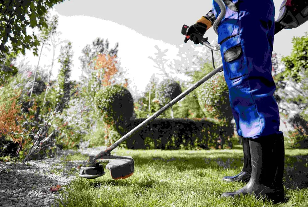 Professional landscaping services in New York, NY by Maintenance Professionals
