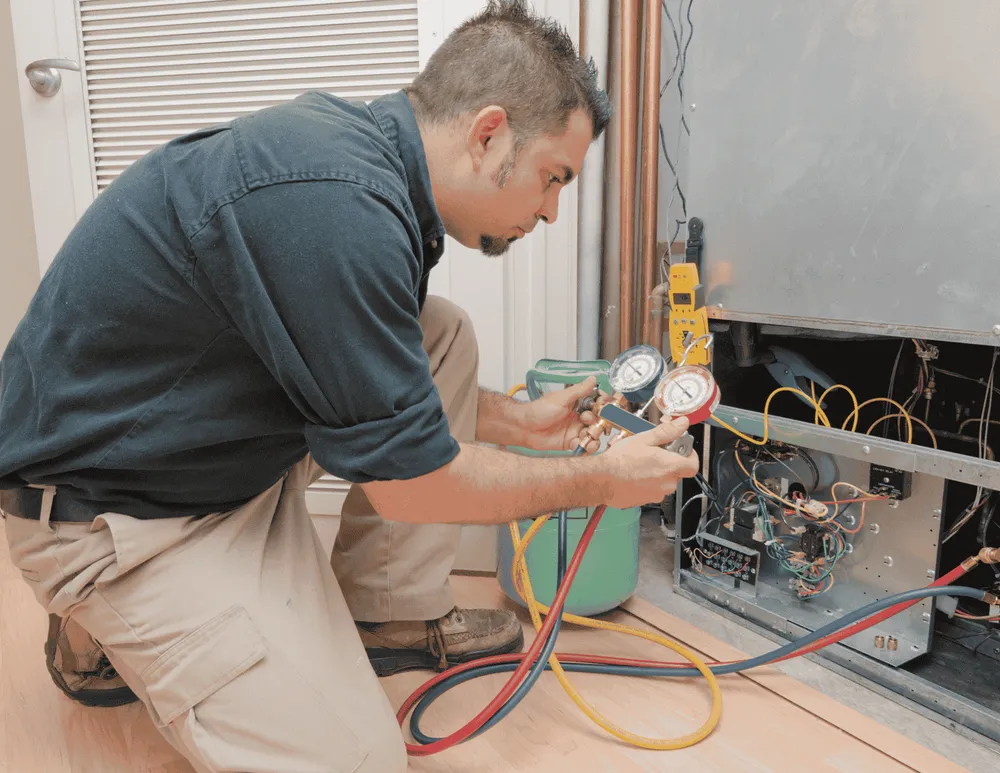 Professional yard maintenance experts serving New York, NY - Maintenance Professionals