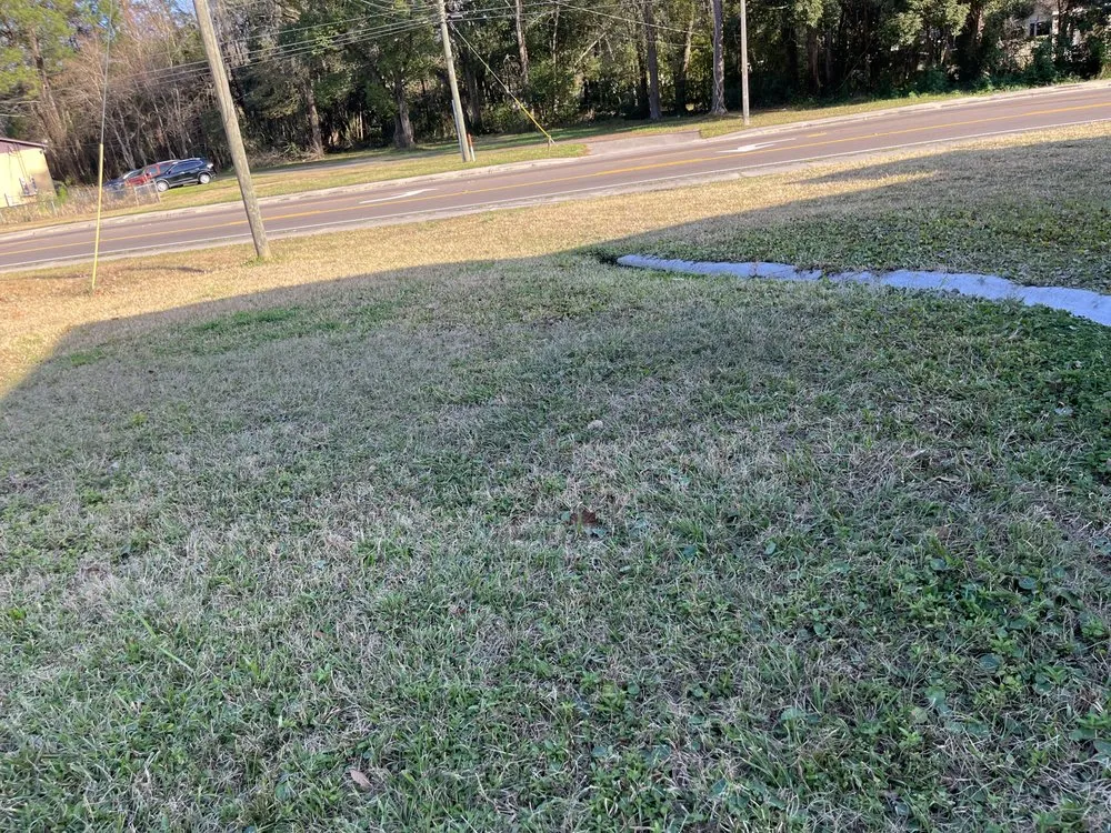 Top-rated landscaping services in Jacksonville, FL by Maintenance Pros USA