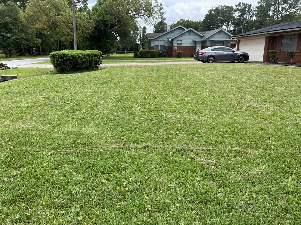 Local yard maintenance in Jacksonville, FL by Maintenance Pros USA