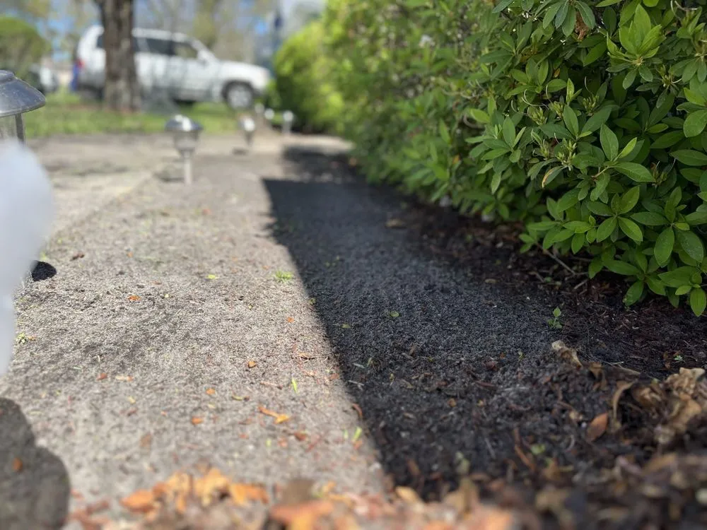 Top-rated lawn care service in Jacksonville, FL by Maintenance Pros USA