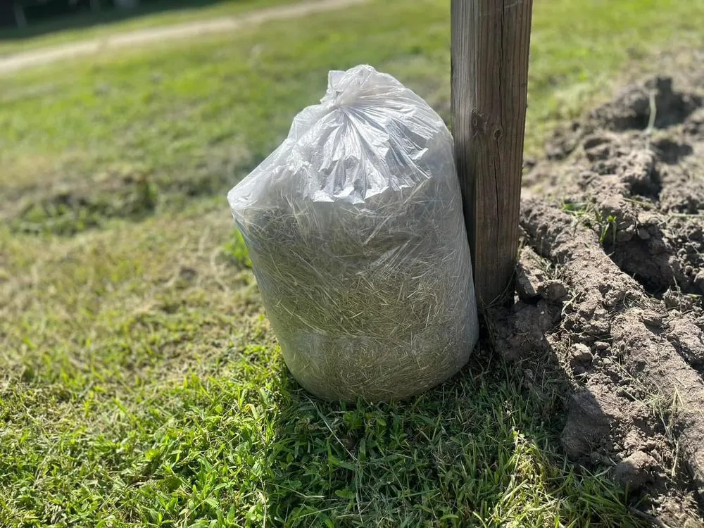 Trusted landscaping services in Jacksonville, FL - Maintenance Pros USA