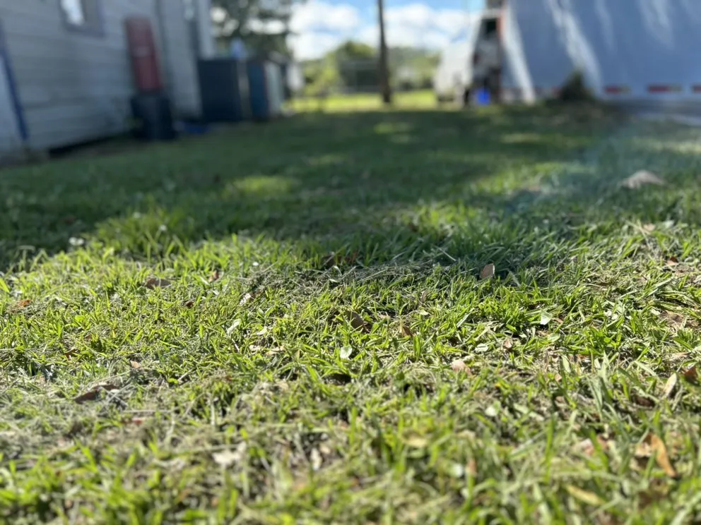 Top-rated outdoor landscaping in Jacksonville, FL by Maintenance Pros USA