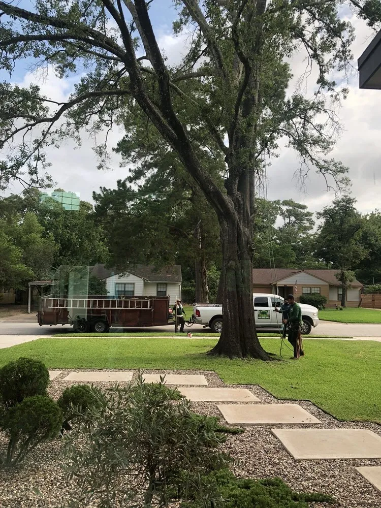 Affordable garden landscaping in Cypress, TX by Maintenance Warriors Landscaping