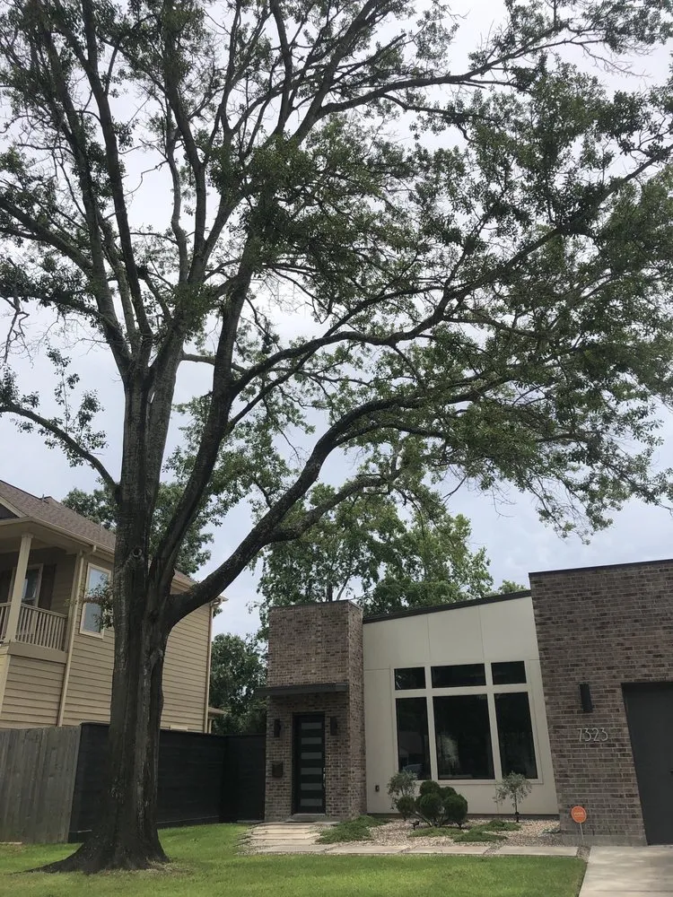 Affordable outdoor landscaping for residential properties in Cypress, TX by Maintenance Warriors Landscaping