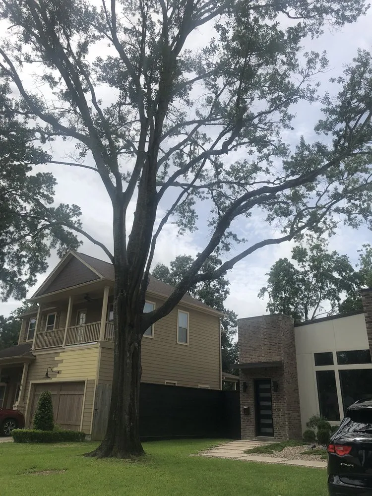 Affordable landscaping services with custom design in Cypress, TX by Maintenance Warriors Landscaping