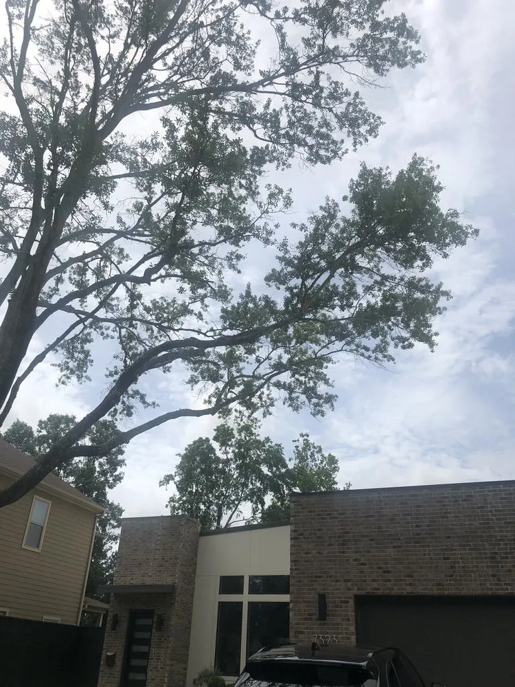 Expert landscape installation experts serving Cypress, TX - Maintenance Warriors Landscaping