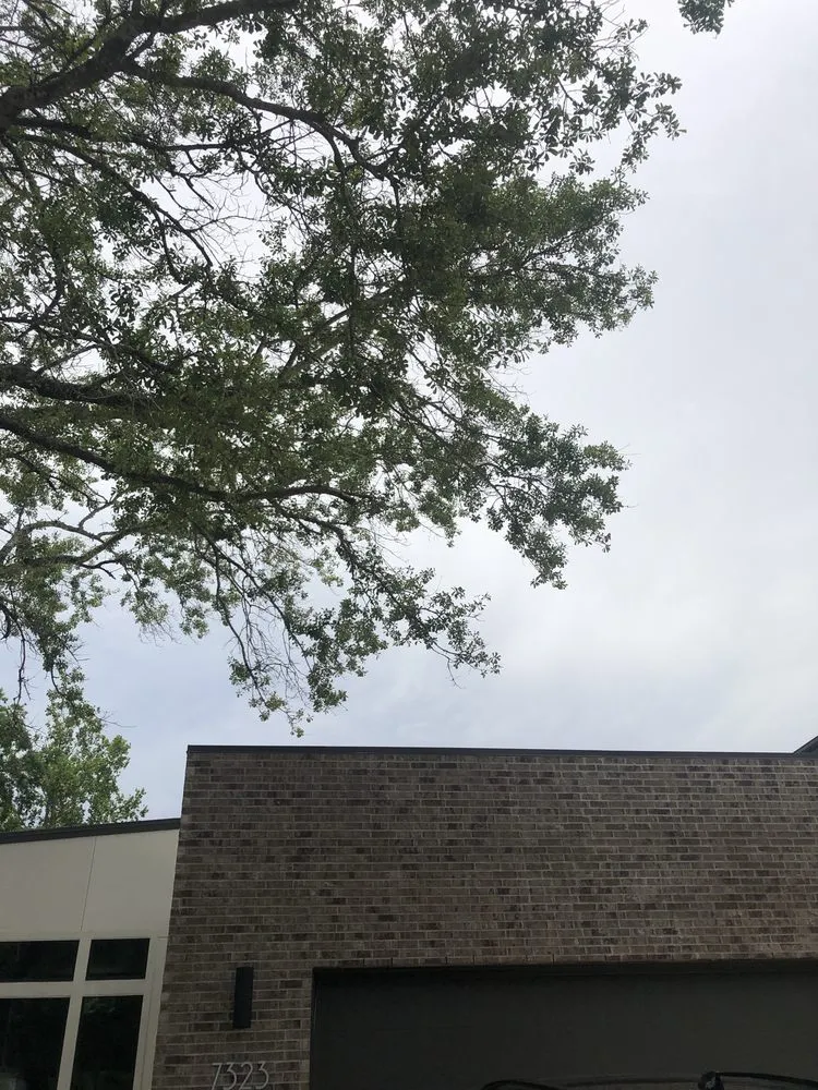 Trusted garden landscaping for beautiful yards in Cypress, TX by Maintenance Warriors Landscaping