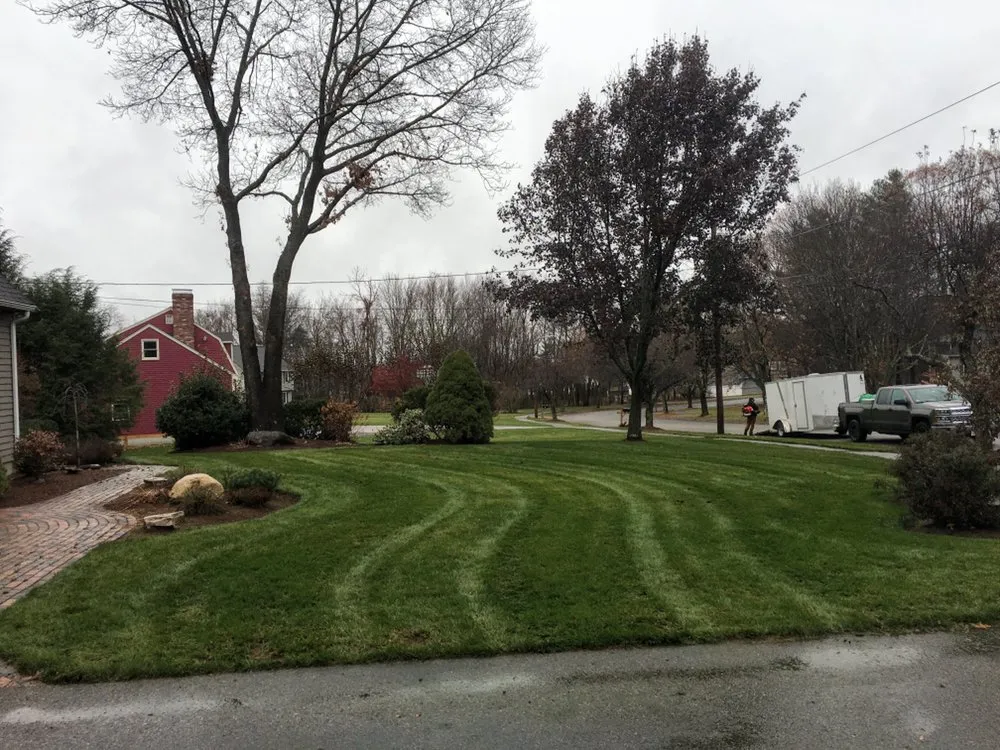 Local yard cleanup service for homes across Franklin, MA - Maione Landscapes
