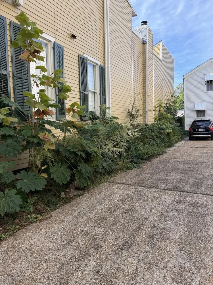 Local lawn care service for outdoor upgrades in Chalmette, LA by Maison Exterior Cleaning & Landscaping