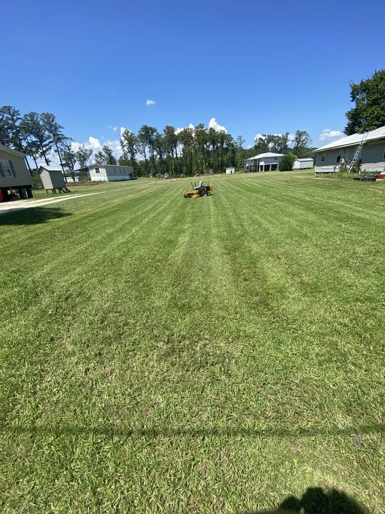 Affordable landscape installation experts serving Chalmette, LA - Maison Exterior Cleaning & Landscaping