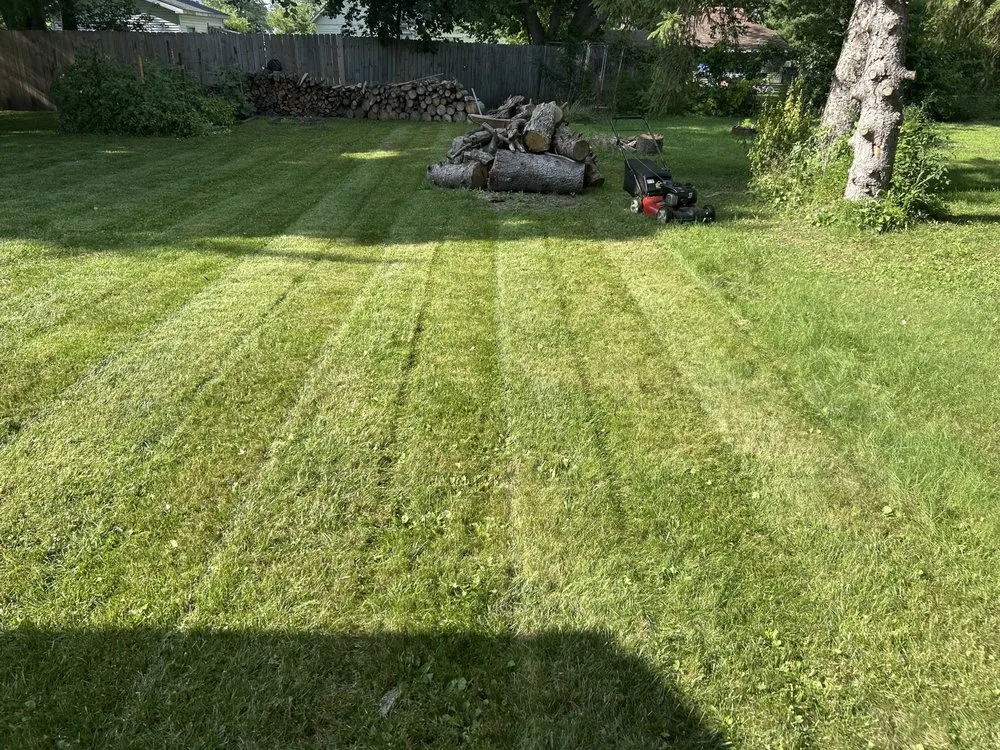 Expert yard cleanup service in Chesaning, MI by Maison’s Lawn Care Service
