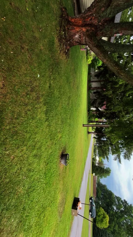 Top-rated residential landscaping for beautiful yards in Chesaning, MI by Maison’s Lawn Care Service