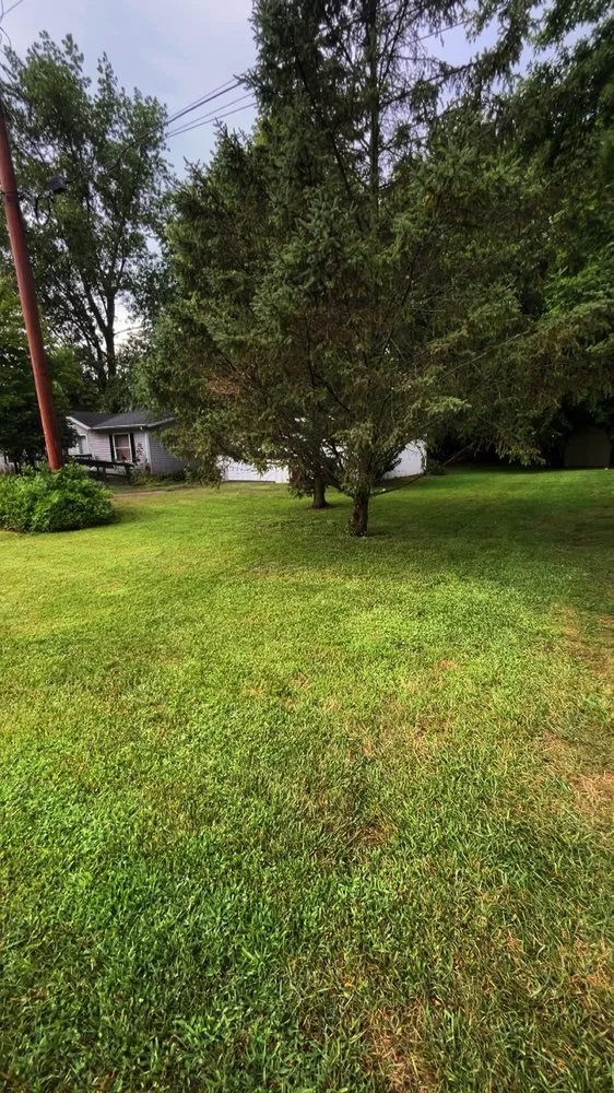 Reliable landscape design experts serving Chesaning, MI - Maison’s Lawn Care Service