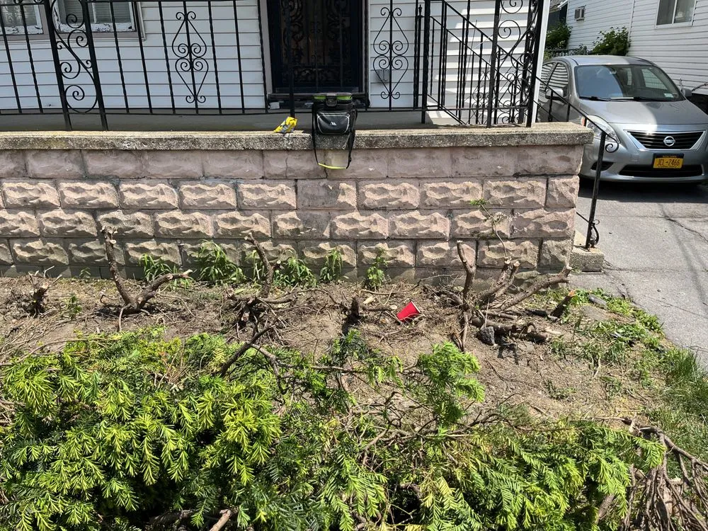 Professional landscape installation for outdoor upgrades across Buffalo, NY - Maj Landscaping & Home Care