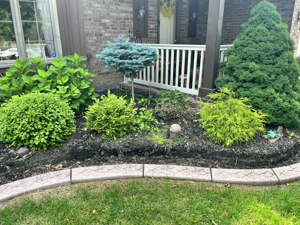 Reliable lawn care service in Buffalo, NY - Maj Landscaping & Home Care