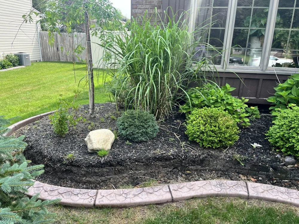 Trusted yard cleanup service experts serving Buffalo, NY - Maj Landscaping & Home Care