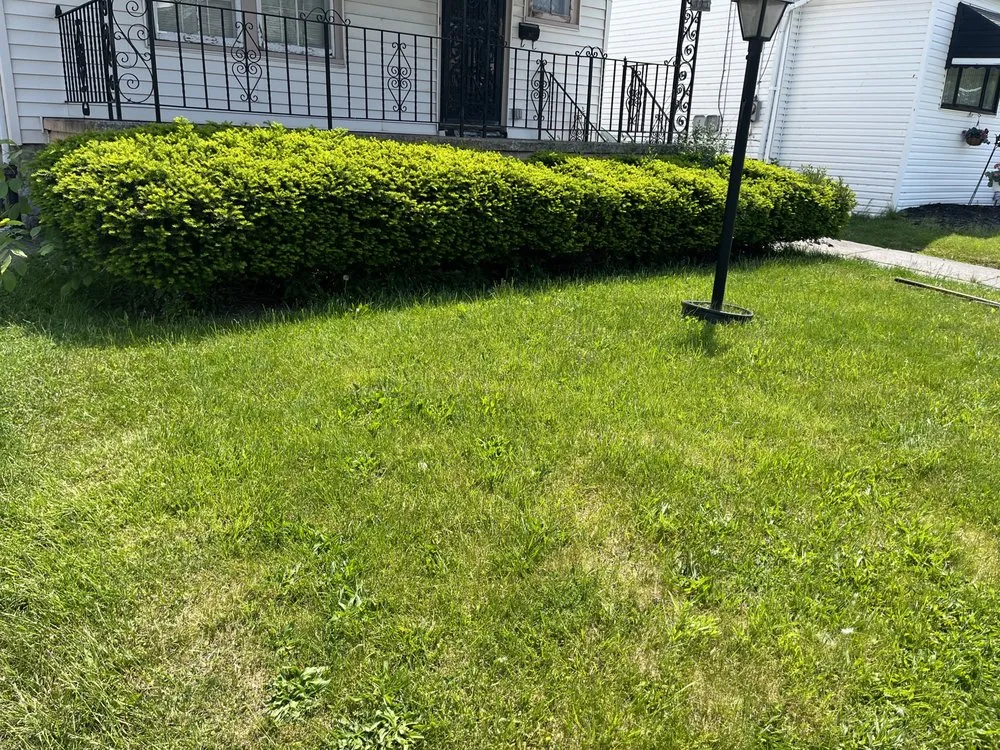 Affordable landscape design with custom design across Buffalo, NY - Maj Landscaping & Home Care