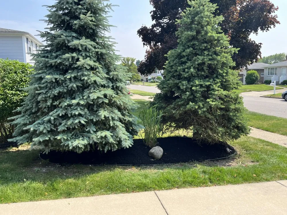 Affordable yard maintenance for beautiful yards across Buffalo, NY - Maj Landscaping & Home Care