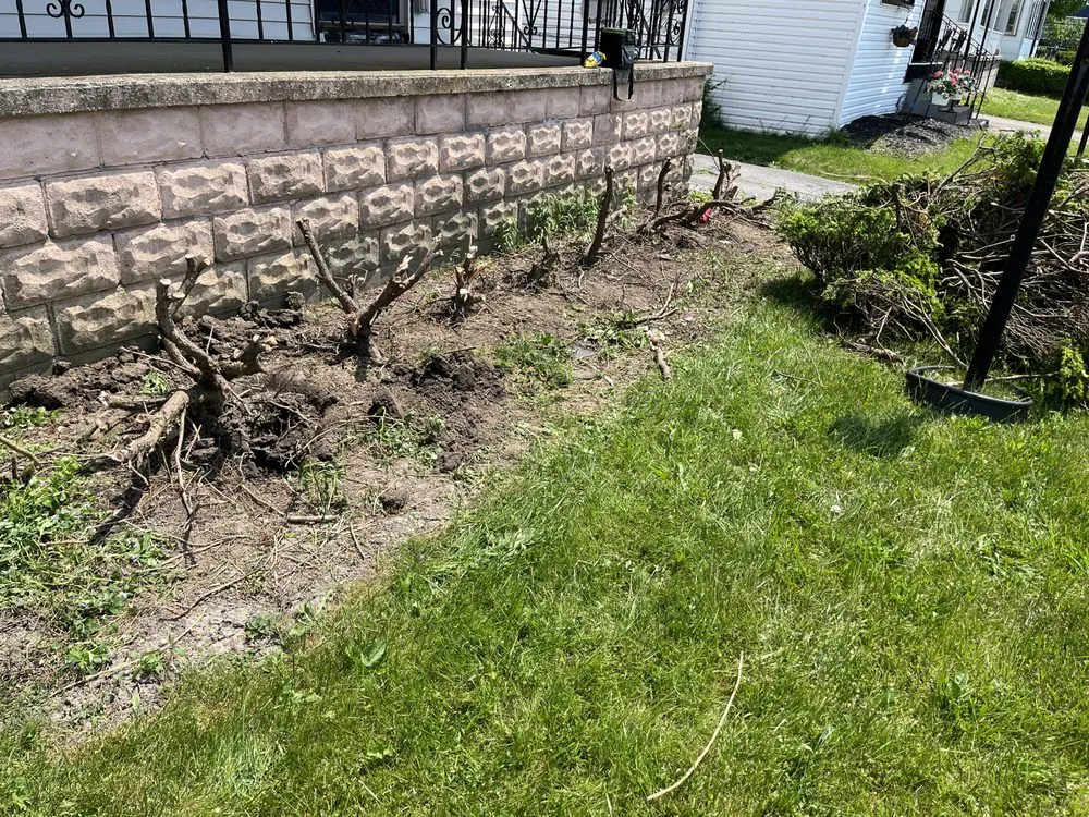 Affordable garden landscaping experts serving Buffalo, NY - Maj Landscaping & Home Care