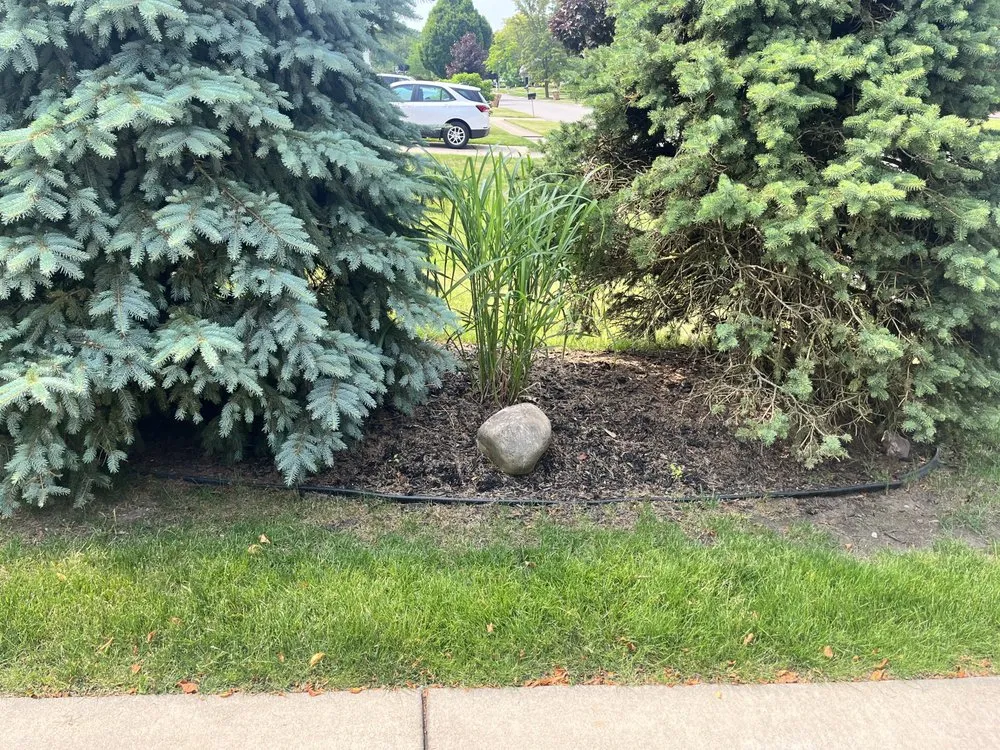 Local lawn mowing service near you across Buffalo, NY - Maj Landscaping & Home Care