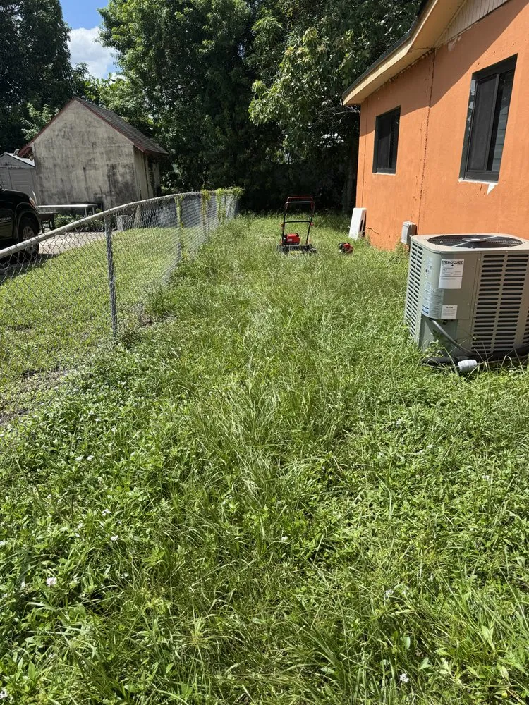 Local residential landscaping experts serving Miami Shores, FL - MAJ Lawn Care