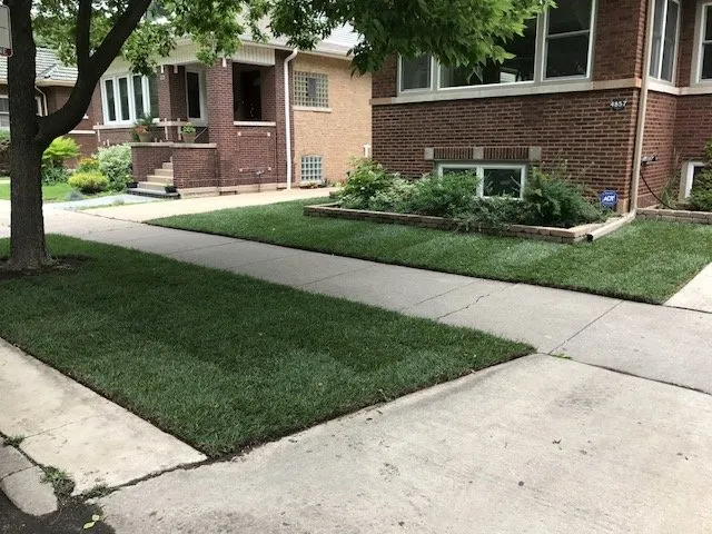 Affordable landscaping services in Chicago, IL by Maj Lawncare