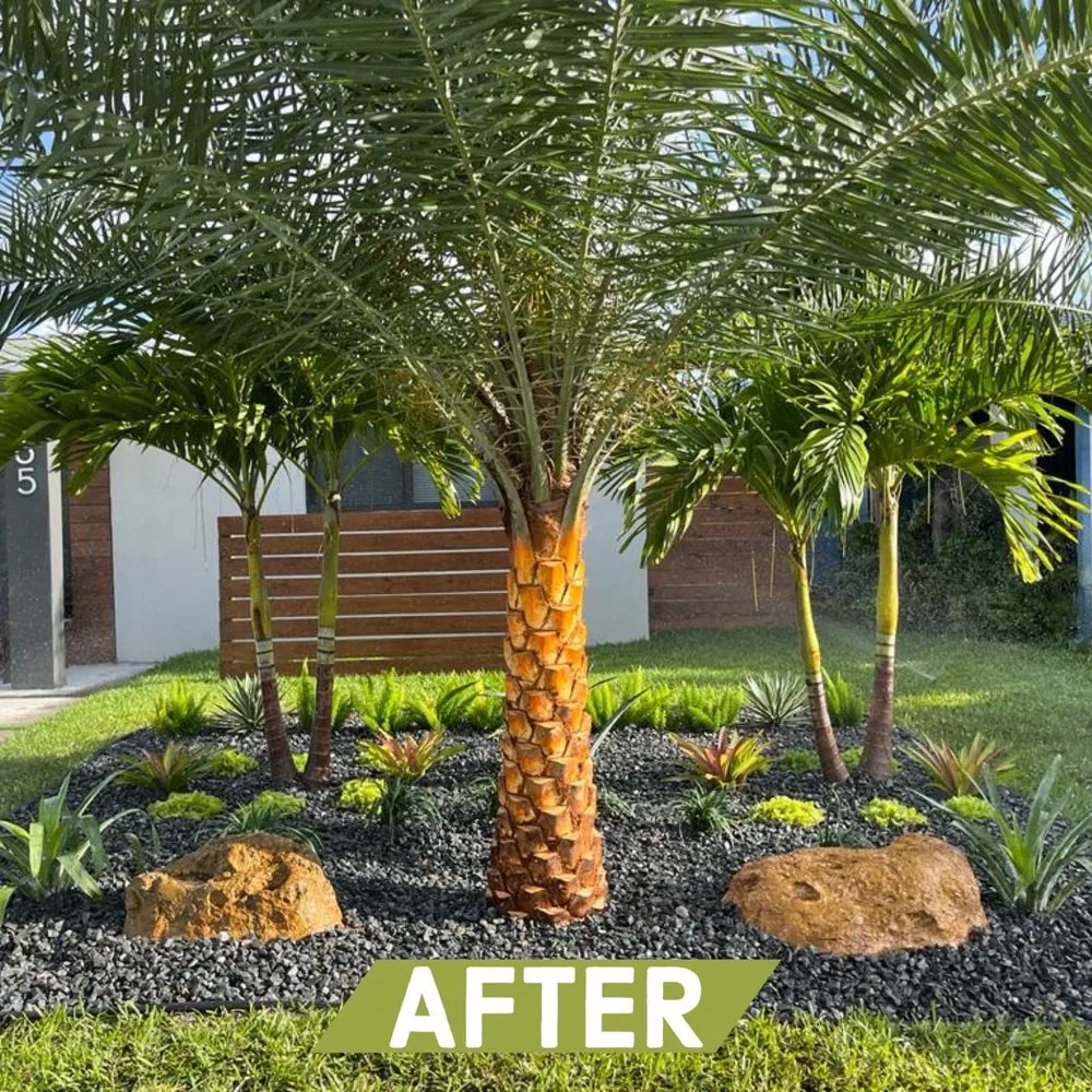 Trusted residential landscaping near you across Fort Lauderdale, FL - Majabe Property Maintenance