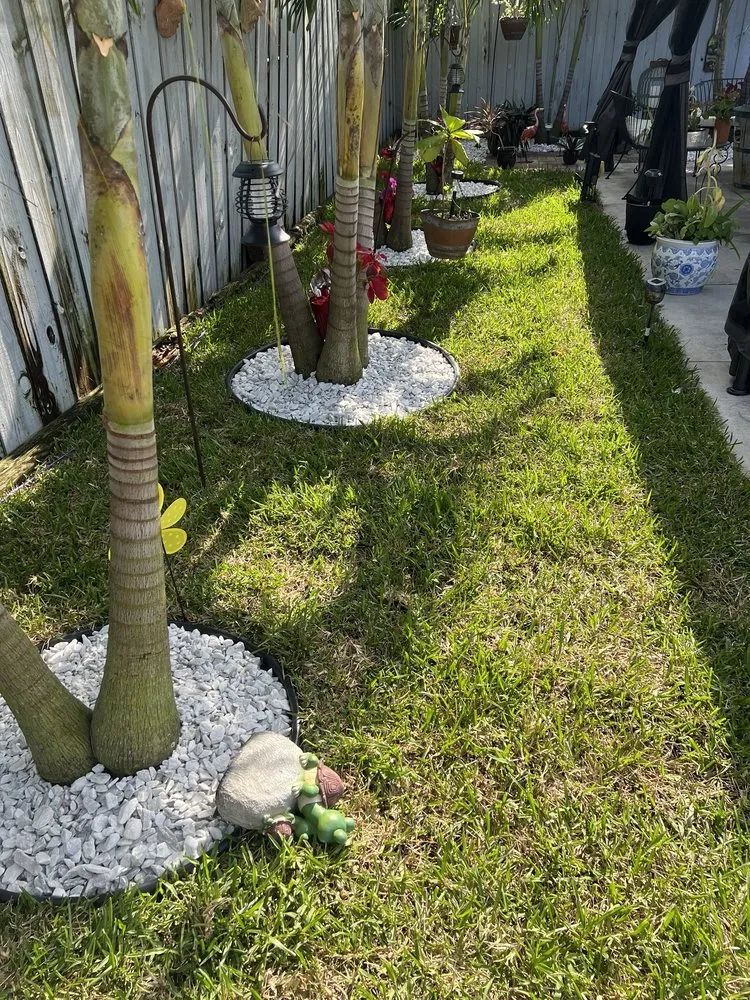 Affordable yard maintenance experts serving Fort Lauderdale, FL - Majabe Property Maintenance